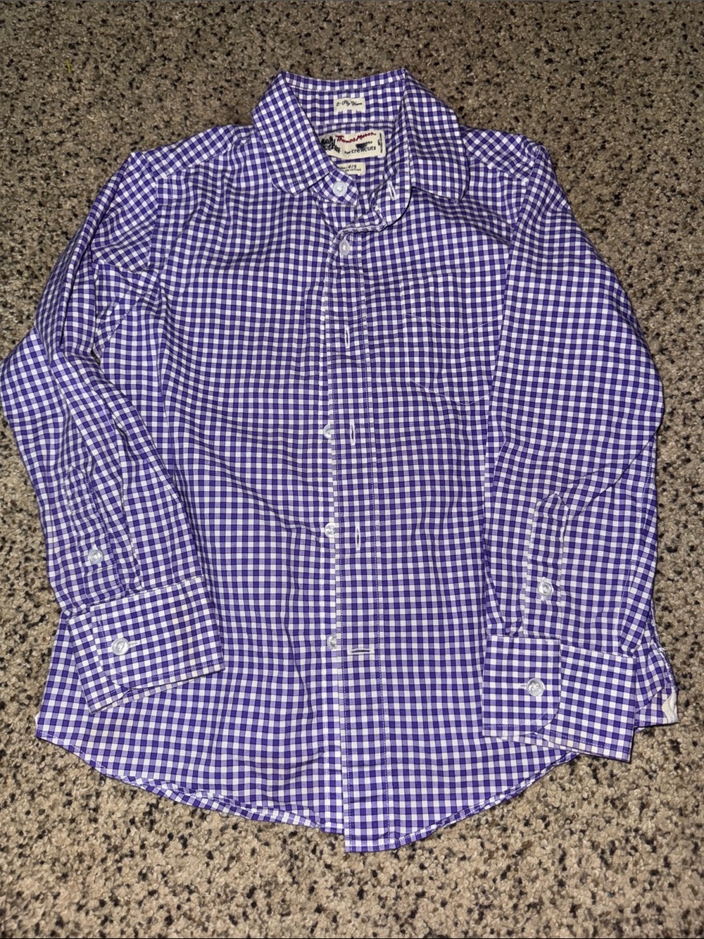 Button-Down Gingham Shirt in Purple